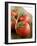 Rinsed Tomatoes with Water Droplets-Clara Gonzalez-Framed Photographic Print