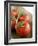 Rinsed Tomatoes with Water Droplets-Clara Gonzalez-Framed Photographic Print