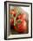 Rinsed Tomatoes with Water Droplets-Clara Gonzalez-Framed Photographic Print