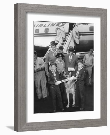 Rintintin Arrives in Washington, D.C. with a Group of Boy Scouts on April 9, 1959-null-Framed Photo