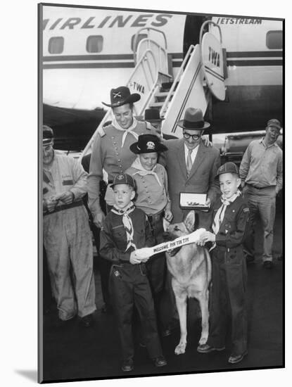 Rintintin Arrives in Washington, D.C. with a Group of Boy Scouts on April 9, 1959-null-Mounted Photo