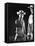 Rio Bravo, Ricky Nelson, John Wayne, 1959-null-Framed Stretched Canvas