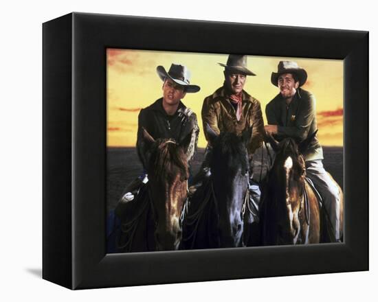 Rio Bravo-null-Framed Stretched Canvas