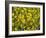 Rio Carnival, Rio de Janeiro, Brazil-Demetrio Carrasco-Framed Photographic Print