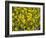 Rio Carnival, Rio de Janeiro, Brazil-Demetrio Carrasco-Framed Photographic Print