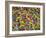 Rio Carnival, Rio De Janeiro, Brazil-Demetrio Carrasco-Framed Photographic Print