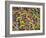 Rio Carnival, Rio De Janeiro, Brazil-Demetrio Carrasco-Framed Photographic Print