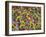 Rio Carnival, Rio De Janeiro, Brazil-Demetrio Carrasco-Framed Photographic Print