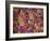 Rio Carnival, Rio De Janeiro, Brazil-Demetrio Carrasco-Framed Photographic Print