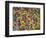 Rio Carnival, Rio De Janeiro, Brazil-Demetrio Carrasco-Framed Photographic Print