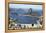 Rio De Janeiro, Brazil-luiz rocha-Framed Premier Image Canvas