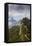 Rio De Janeiro Landscape Showing Corcovado, the Christ and the Sugar Loaf, Rio De Janeiro, Brazil-Alex Robinson-Framed Premier Image Canvas