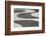 Rio De Janeiro-luiz rocha-Framed Photographic Print