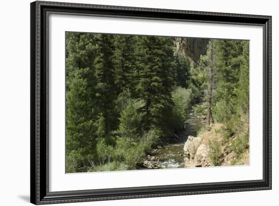 Rio Del Pueblo in the Sangre De Cristo Mountains, New Mexico-null-Framed Photographic Print