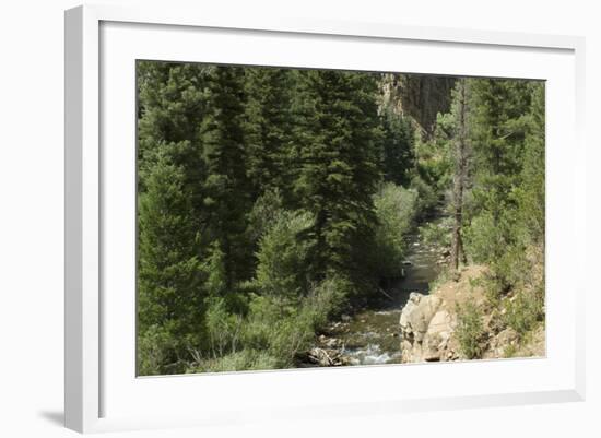 Rio Del Pueblo in the Sangre De Cristo Mountains, New Mexico-null-Framed Photographic Print