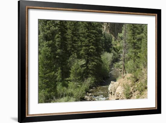 Rio Del Pueblo in the Sangre De Cristo Mountains, New Mexico-null-Framed Photographic Print