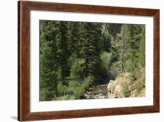 Rio Del Pueblo in the Sangre De Cristo Mountains, New Mexico-null-Framed Photographic Print