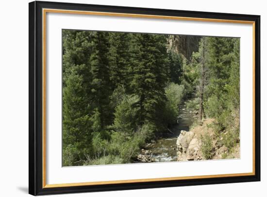 Rio Del Pueblo in the Sangre De Cristo Mountains, New Mexico-null-Framed Photographic Print