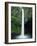 Rio Fortuna Waterfalls on the Slopes of Volcan Arenal, Costa Rica, Central America-Robert Francis-Framed Photographic Print