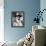 Rio Lobo-null-Framed Stretched Canvas displayed on a wall