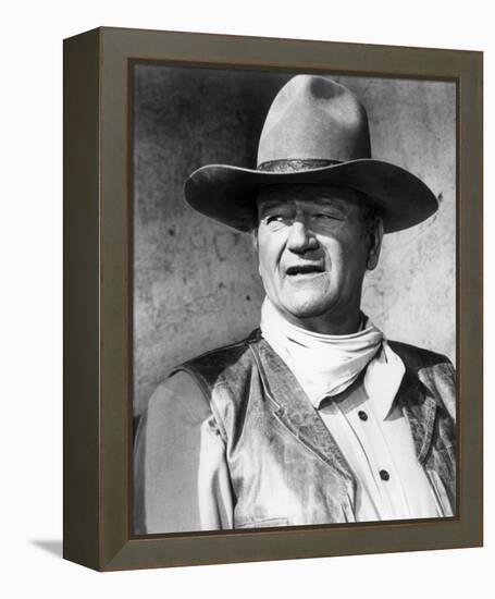 Rio Lobo-null-Framed Stretched Canvas