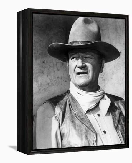 Rio Lobo-null-Framed Stretched Canvas