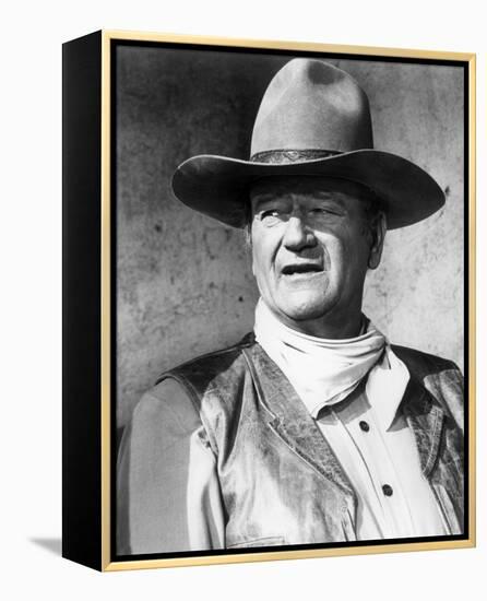 Rio Lobo-null-Framed Stretched Canvas