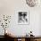 Rio Lobo-null-Framed Photo displayed on a wall
