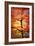 Rio Samba-Philippe Sainte-Laudy-Framed Photographic Print