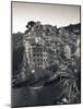 Riomaggiore, Cinque Terre, Riviera Di Levante, Liguria, Italy-Jon Arnold-Mounted Photographic Print