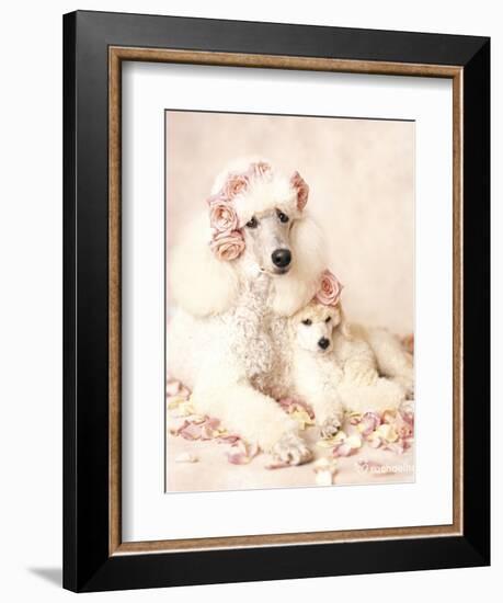 Riot and Briar-Rachael Hale-Framed Art Print