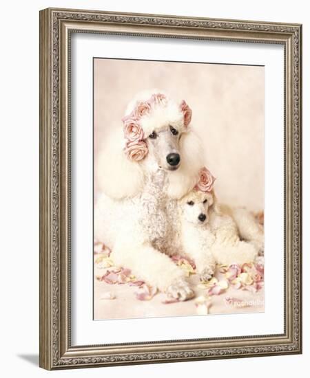 Riot and Briar-Rachael Hale-Framed Art Print