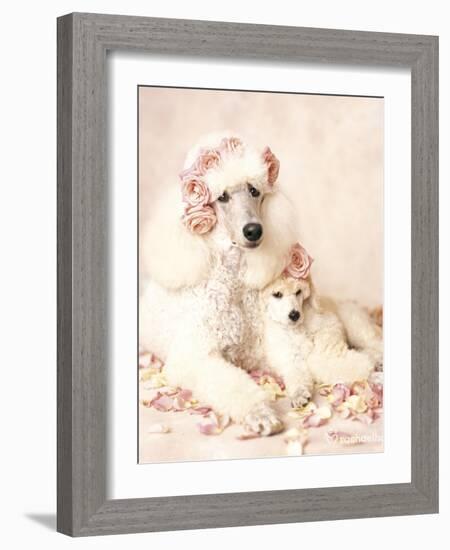 Riot and Briar-Rachael Hale-Framed Art Print