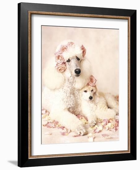 Riot and Briar-Rachael Hale-Framed Art Print