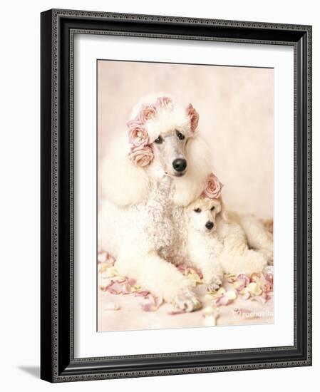 Riot and Briar-Rachael Hale-Framed Art Print