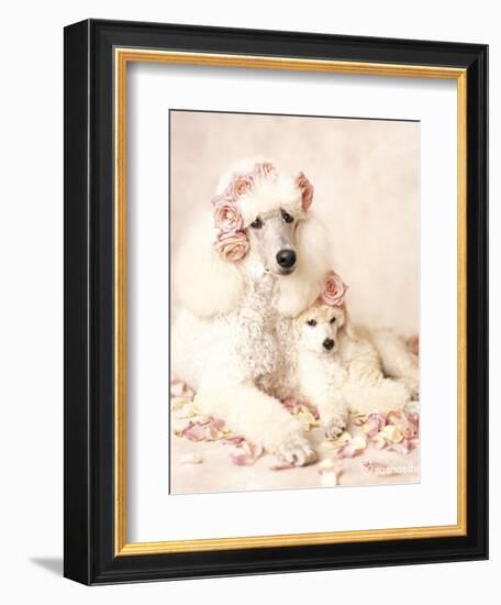 Riot and Briar-Rachael Hale-Framed Premium Giclee Print