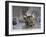 Riots in Paris, 1897-Henri Meyer-Framed Giclee Print