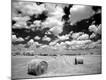 Premium Photographic Print