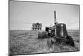 Photographic Print