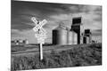 Photographic Print