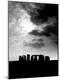 Photographic Print