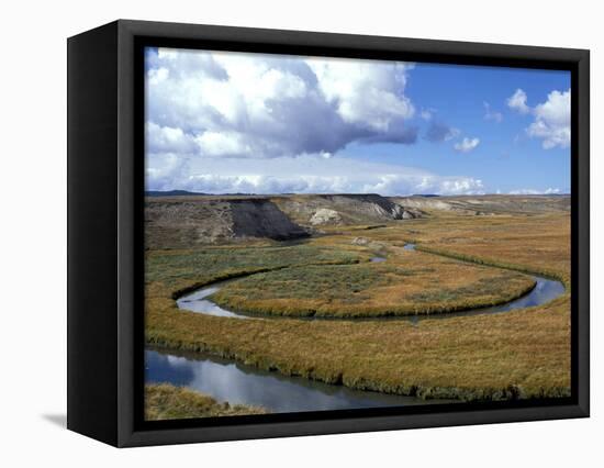 Riparian Area Near Hayden Valley, Yellowstone National Park, Wyoming, USA-Diane Johnson-Framed Premier Image Canvas