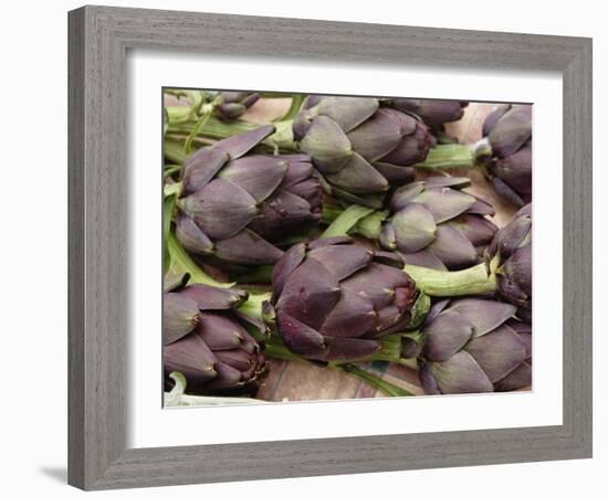 Ripe Artichoke, Tuscany, Italy-Adam Jones-Framed Photographic Print