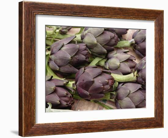 Ripe Artichoke, Tuscany, Italy-Adam Jones-Framed Photographic Print