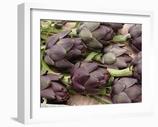 Ripe Artichoke, Tuscany, Italy-Adam Jones-Framed Photographic Print