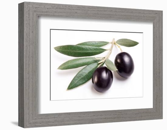 Ripe Black Olives with Leaves on a White Background-Volff-Framed Photographic Print