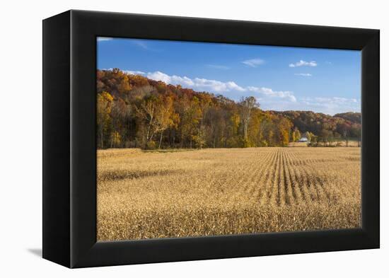 Ripe Cornfield and Barn in Brown County, Indiana, USA-Chuck Haney-Framed Premier Image Canvas