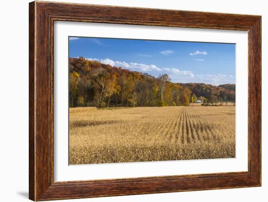 Ripe Cornfield and Barn in Brown County, Indiana, USA-Chuck Haney-Framed Photographic Print