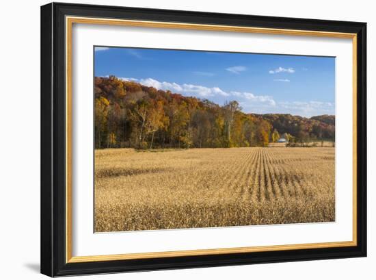 Ripe Cornfield and Barn in Brown County, Indiana, USA-Chuck Haney-Framed Photographic Print