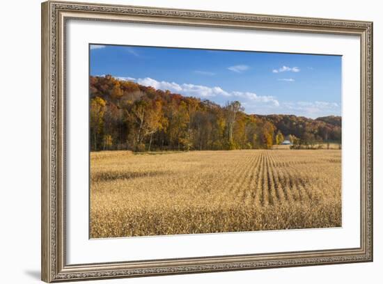 Ripe Cornfield and Barn in Brown County, Indiana, USA-Chuck Haney-Framed Photographic Print